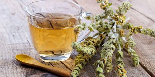 Herbata górska: gojnik – aromatyczny napar prosto z Morza Śródziemnego